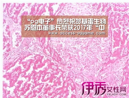 PG Soft