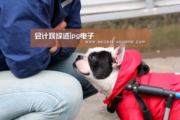 会计观综述|pg电子