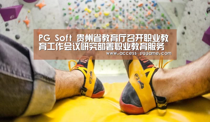 PG Soft_贵州省教育厅召开职业教育工作会议研究部署职业教育服务深度贫困地区脱贫攻坚工作(图2) pg电子
