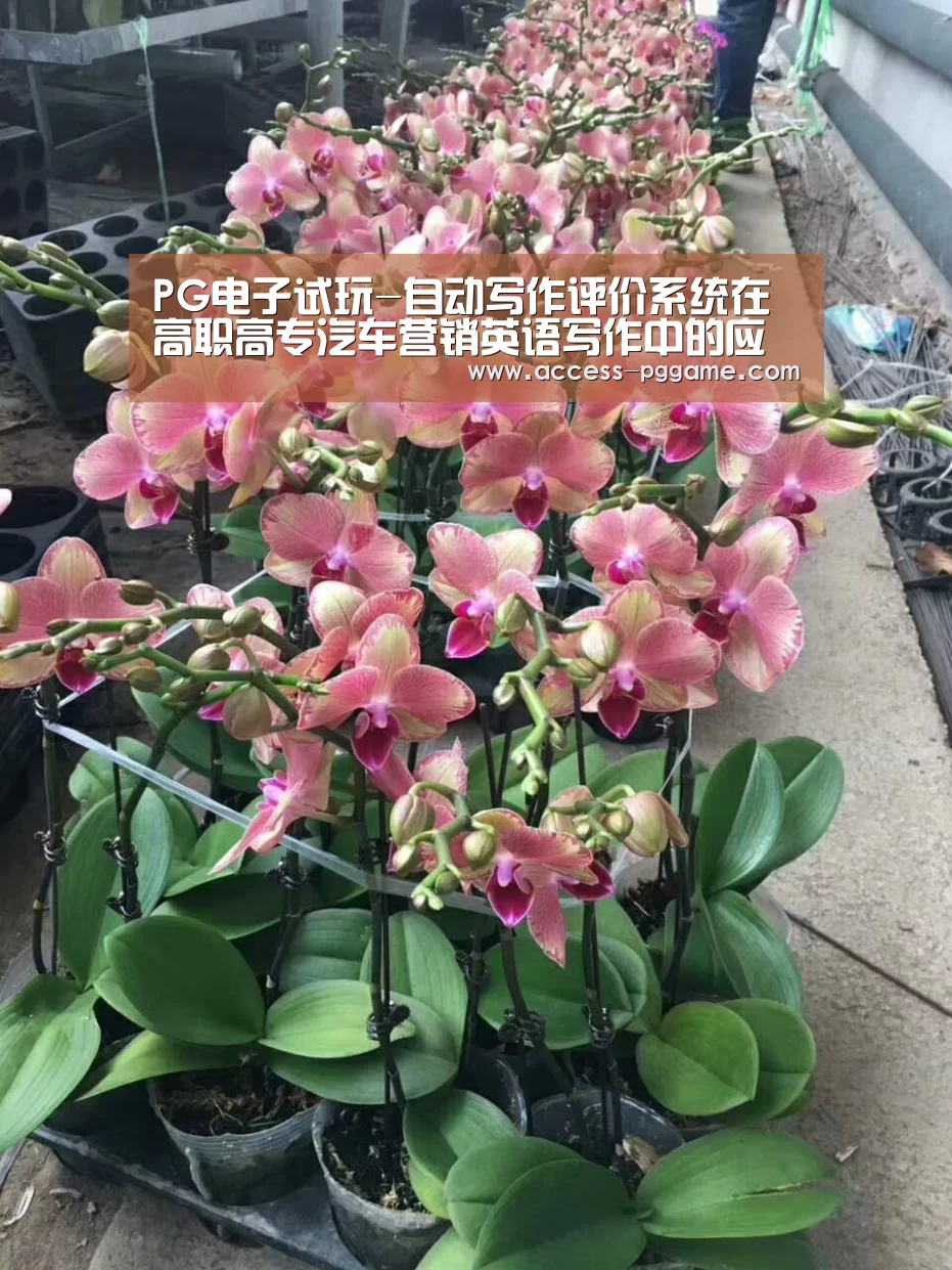 PG电子试玩-自动写作评价系统在高职高专汽车营销英语写作中的应用(图1) pg电子游戏